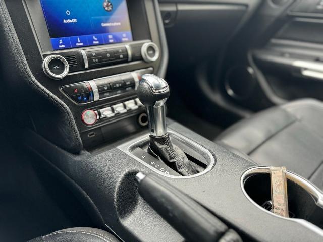 2023 Ford Mustang Vehicle Photo in San Antonio, TX 78230