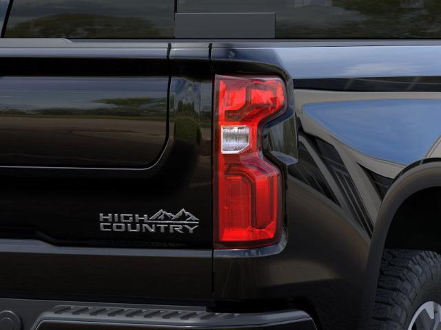 2025 Chevrolet Silverado 1500 Vehicle Photo in DANBURY, CT 06810-5034