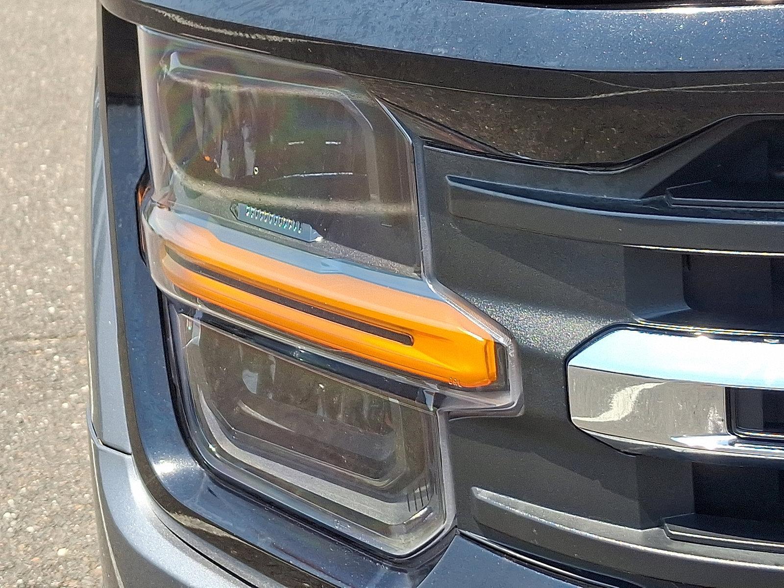 2024 Ford F-150 Vehicle Photo in Trevose, PA 19053