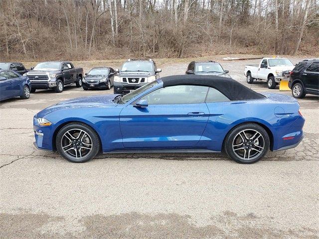 2022 Ford Mustang Vehicle Photo in MILFORD, OH 45150-1684