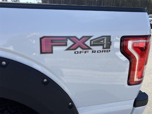 2017 Ford F-150 Vehicle Photo in ALBERTVILLE, AL 35950-0246