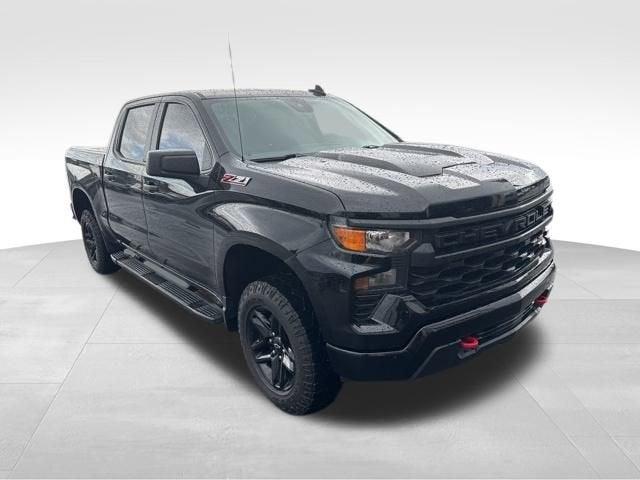 2023 Chevrolet Silverado 1500 Vehicle Photo in Gaffney, SC 29341