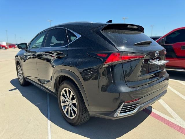 2020 Lexus NX 300h Vehicle Photo in San Antonio, TX 78230