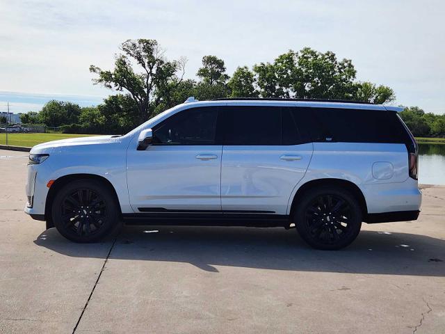 2023 Cadillac Escalade Vehicle Photo in DENTON, TX 76210-9321