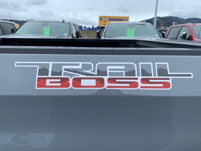 2024 Chevrolet Silverado 1500 Vehicle Photo in POST FALLS, ID 83854-5365