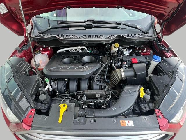 2019 Ford EcoSport Vehicle Photo in Oshkosh, WI 54904