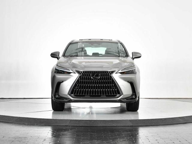 2024 Lexus NX 350 Vehicle Photo in DALLAS, TX 75235