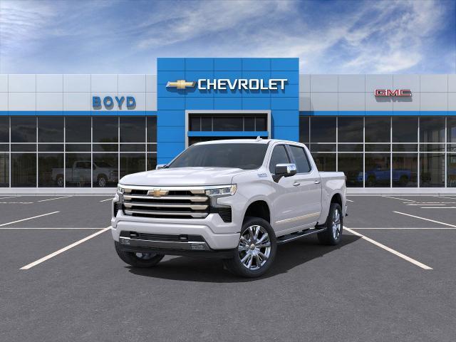 2025 Chevrolet Silverado 1500 Vehicle Photo in EMPORIA, VA 23847-1235