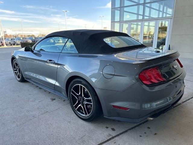 2022 Ford Mustang Vehicle Photo in San Antonio, TX 78230