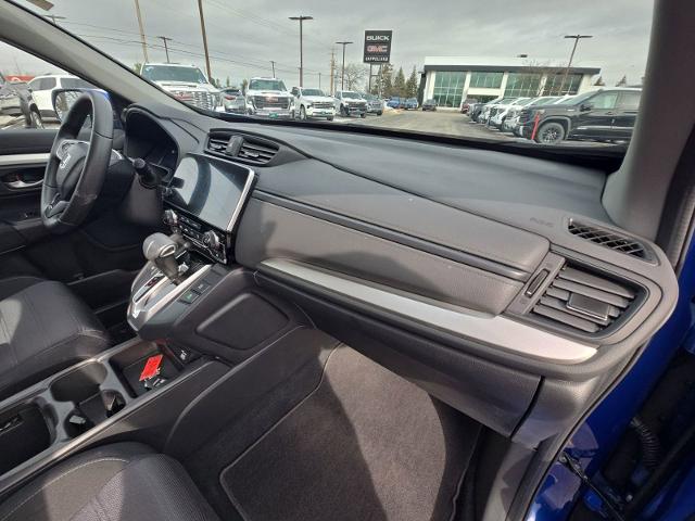 2022 Honda CR-V Vehicle Photo in WILLIAMSVILLE, NY 14221-2883