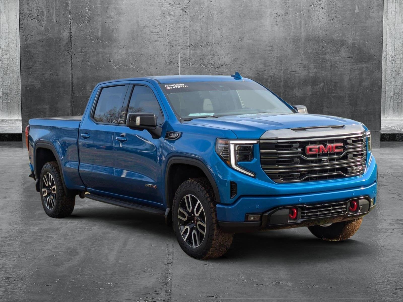 2024 GMC Sierra 1500 Vehicle Photo in Panama City, FL 32401
