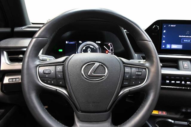 2024 Lexus UX 250h Vehicle Photo in DALLAS, TX 75235