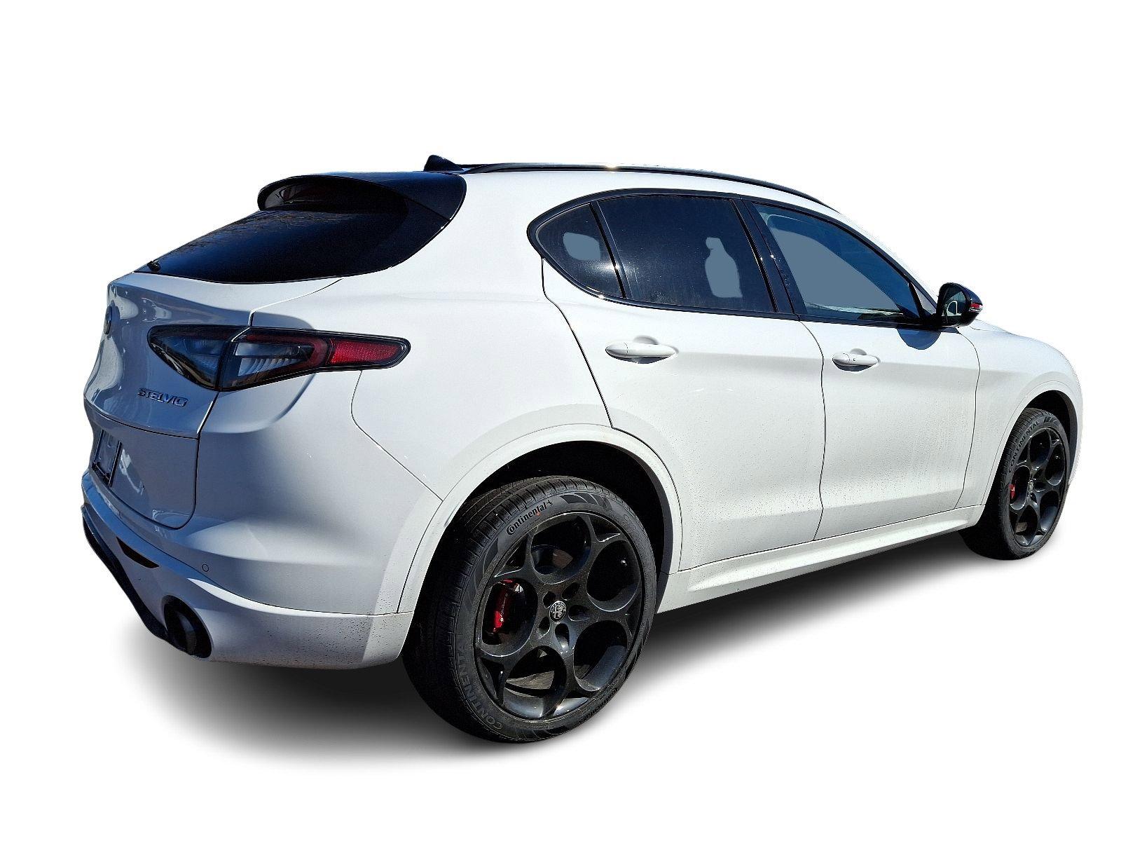 2025 Alfa Romeo Stelvio Vehicle Photo in Willow Grove, PA 19090