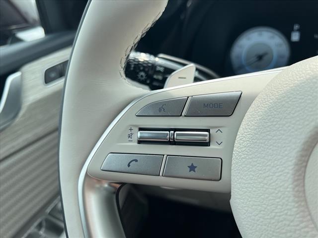 2025 Hyundai PALISADE Vehicle Photo in Shiloh, IL 62269