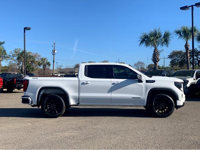 2025 GMC Sierra 1500 Vehicle Photo in BEAUFORT, SC 29906-4218