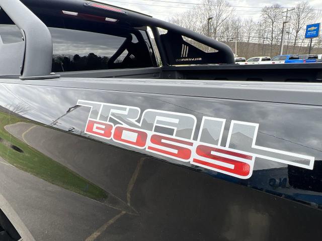 2021 Chevrolet Silverado 1500 Vehicle Photo in BOSTON, NY 14025-9684