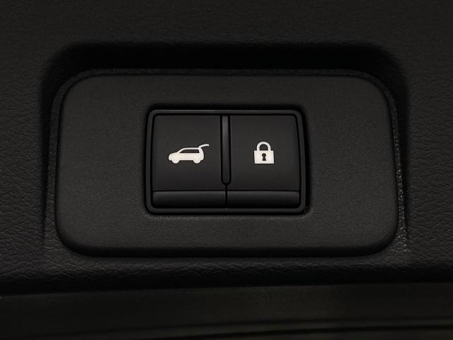2025 Nissan Rogue Vehicle Photo in Appleton, WI 54913