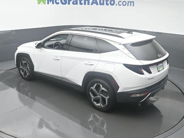 2023 Hyundai TUCSON Vehicle Photo in Cedar Rapids, IA 52402