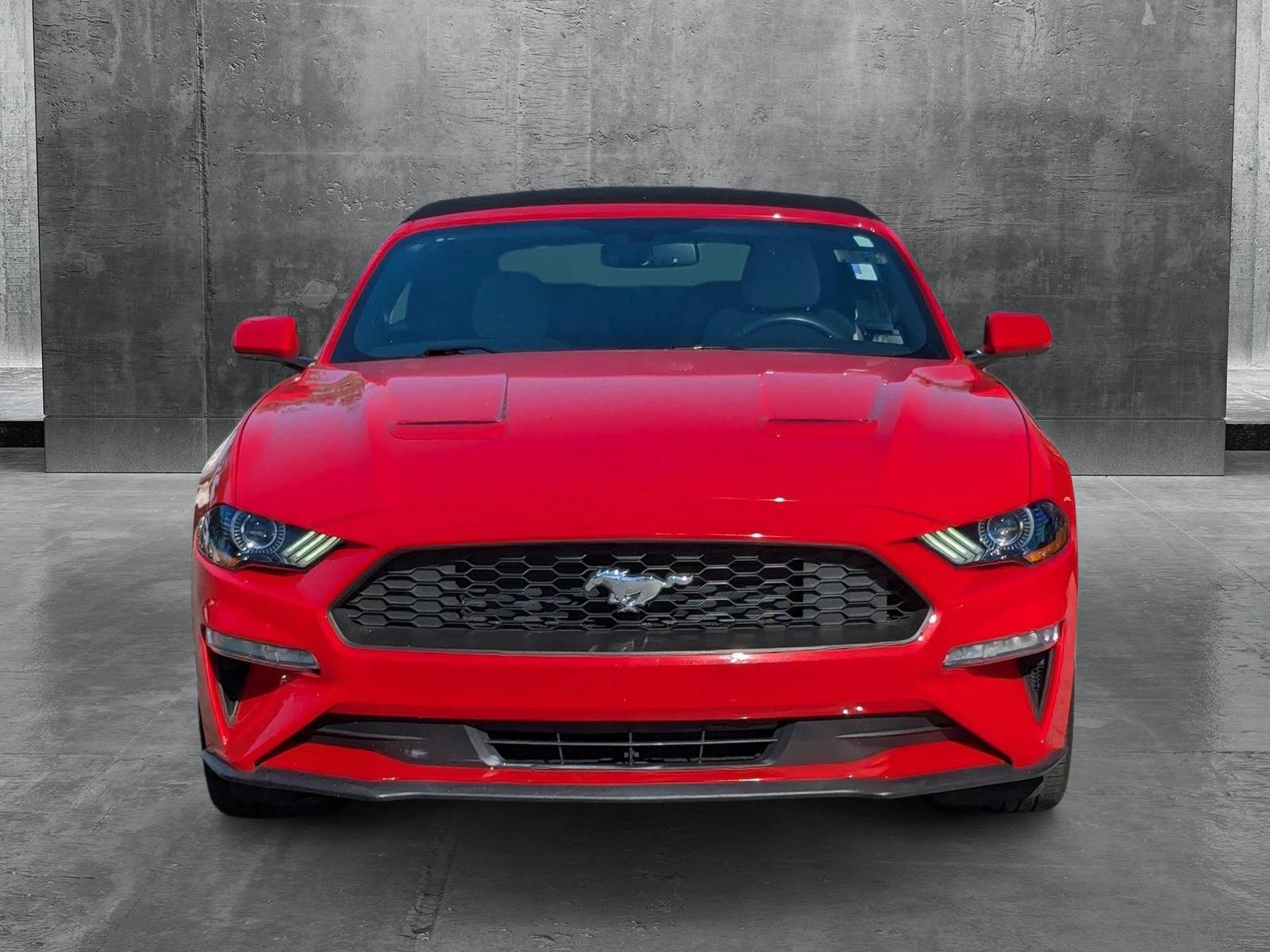 2019 Ford Mustang Vehicle Photo in Panama City, FL 32401