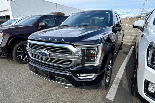 2023 Ford F-150 Vehicle Photo in ELK GROVE, CA 95757-8703