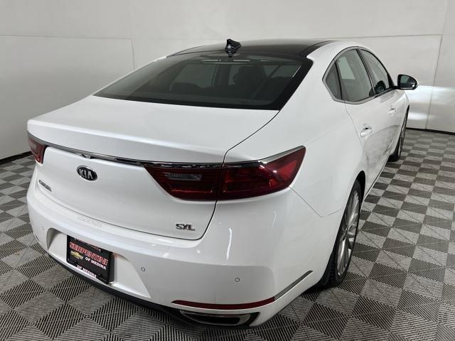 2019 Kia Cadenza Vehicle Photo in MEDINA, OH 44256-9001