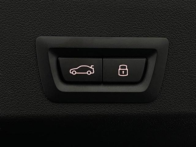 2025 BMW XM Vehicle Photo in Appleton, WI 54913