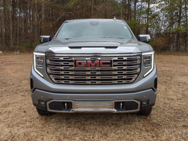 2025 GMC Sierra 1500 Vehicle Photo in ALBERTVILLE, AL 35950-0246