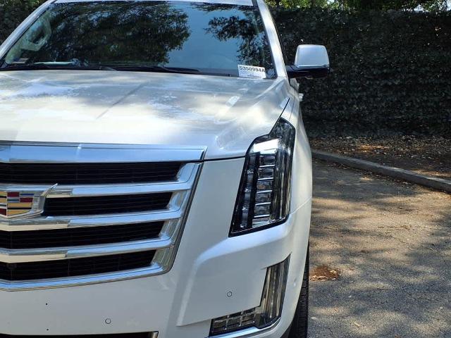 2020 Cadillac Escalade Vehicle Photo in San Antonio, TX 78230-1001