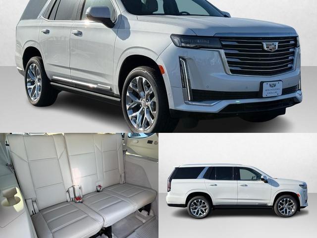 2024 Cadillac Escalade Vehicle Photo in COLUMBIA, MO 65203-3903