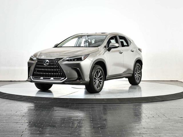 2024 Lexus NX 250 Vehicle Photo in DALLAS, TX 75235