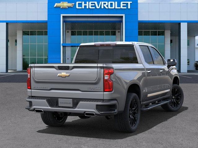 2025 Chevrolet Silverado 1500 Vehicle Photo in SELMA, TX 78154-1460