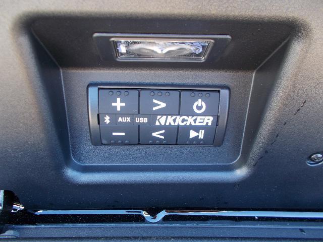 2025 GMC Sierra 1500 Vehicle Photo in LOWELL, MA 01852-4336