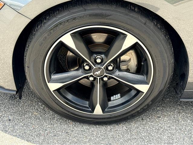 2019 Ford Mustang Vehicle Photo in Hinesville, GA 31313