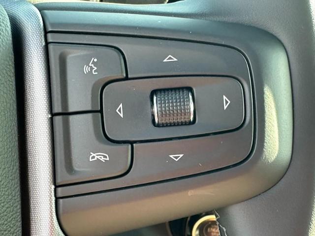 2025 GMC Sierra 1500 Vehicle Photo in COLUMBIA, MO 65203-3903