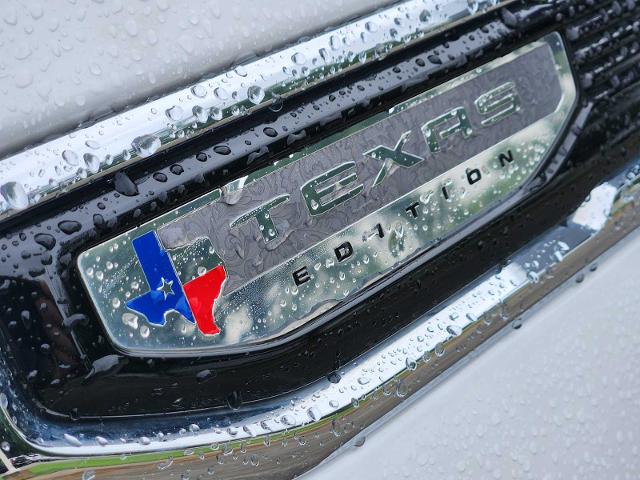 2020 GMC Sierra 1500 Vehicle Photo in DENTON, TX 76210-9321