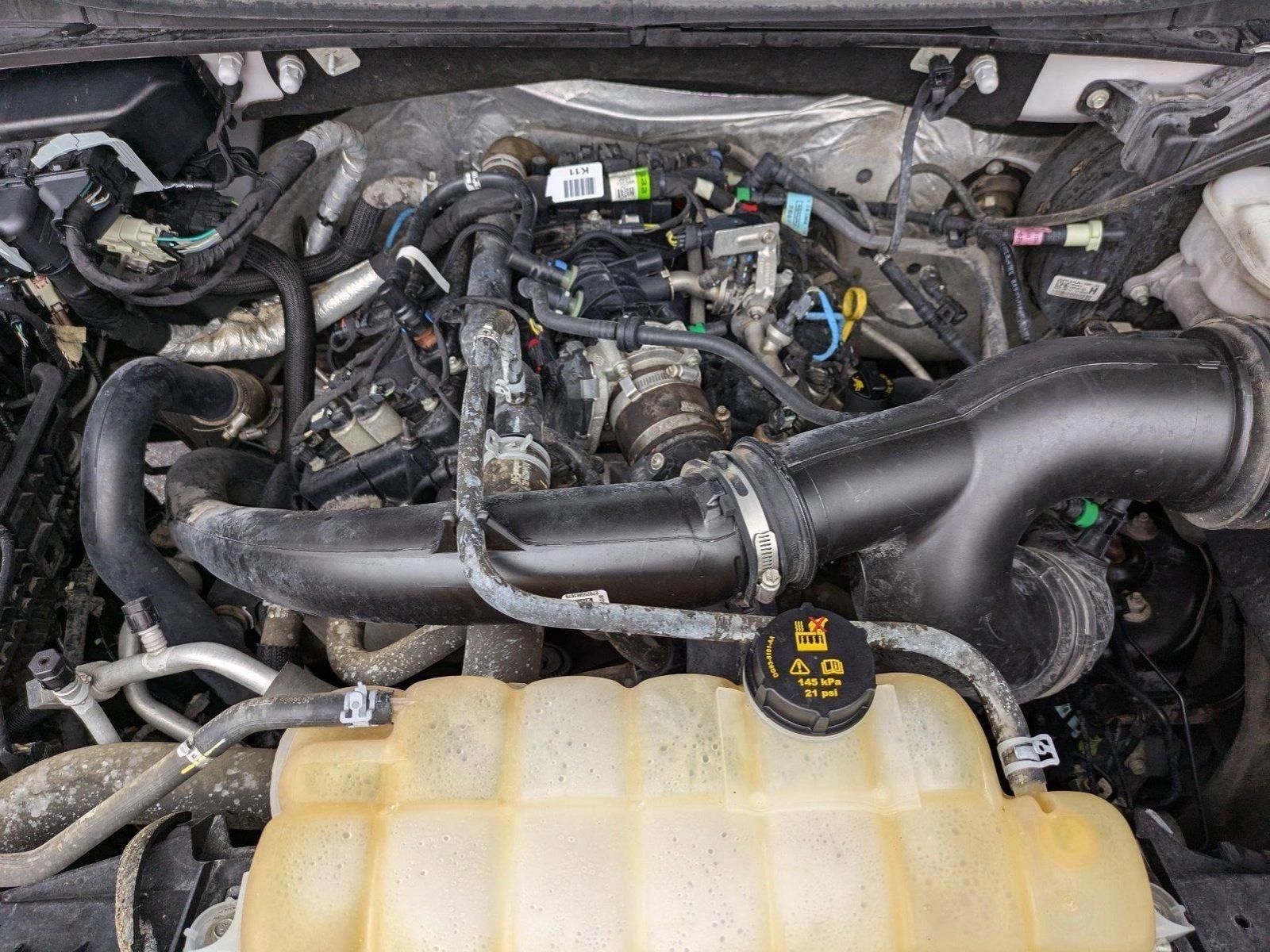 2019 Ford F-150 Vehicle Photo in Jacksonville, FL 32244