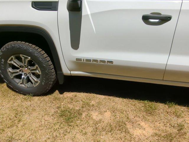 2024 GMC Sierra 1500 Vehicle Photo in ALBERTVILLE, AL 35950-0246