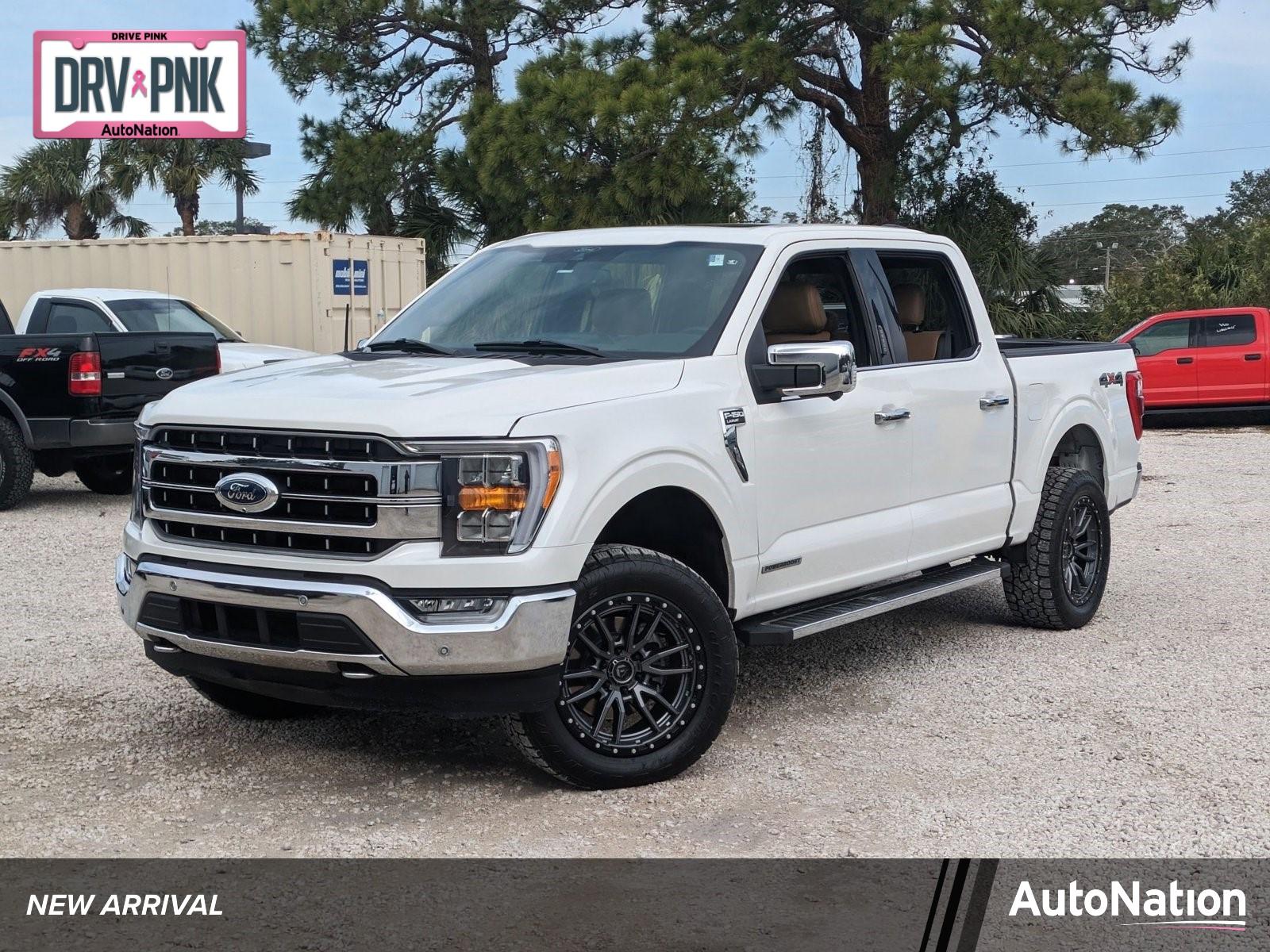 2021 Ford F-150 Vehicle Photo in Bradenton, FL 34207