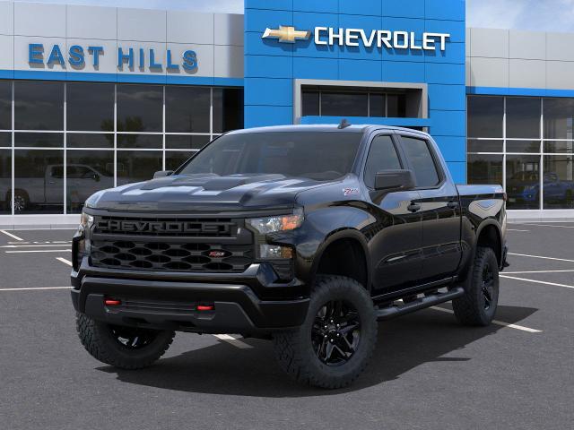 2025 Chevrolet Silverado 1500 Vehicle Photo in Roslyn, NY 11576