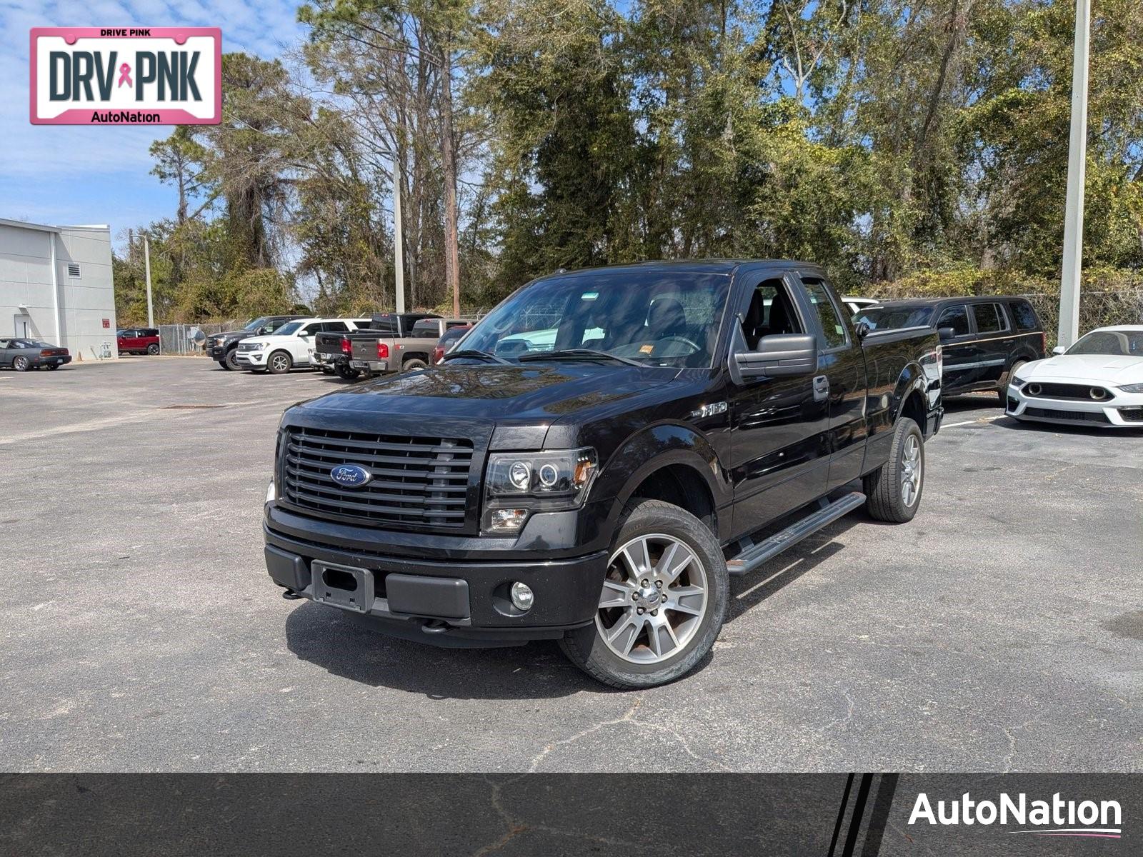 2014 Ford F-150 Vehicle Photo in Panama City, FL 32401