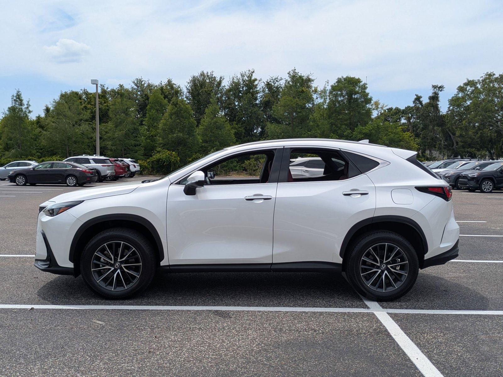 2024 Lexus NX 250 Vehicle Photo in Clearwater, FL 33761