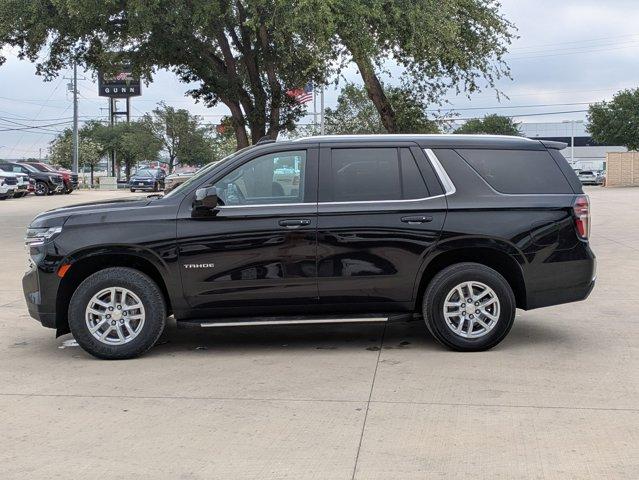 2023 Chevrolet Tahoe Vehicle Photo in SELMA, TX 78154-1460