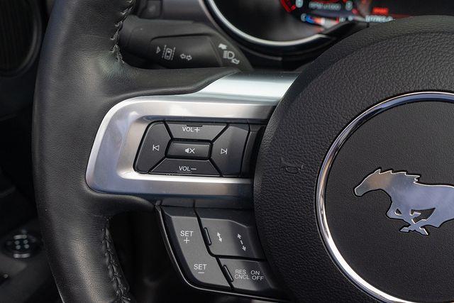 2019 Ford Mustang Vehicle Photo in DANBURY, CT 06810-5034