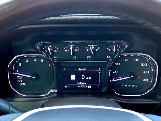 2020 GMC Sierra 1500 Vehicle Photo in BEAUFORT, SC 29906-4218