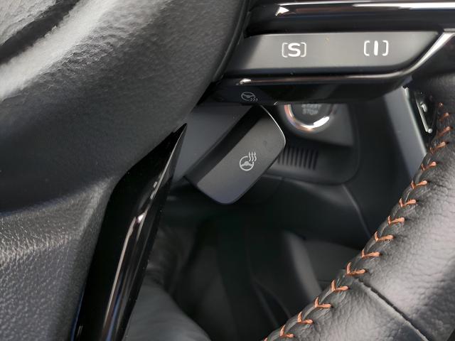 2025 Subaru Forester Vehicle Photo in Green Bay, WI 54304