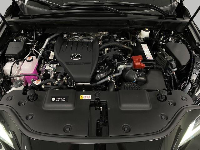 2022 Lexus NX 350 Vehicle Photo in Appleton, WI 54913