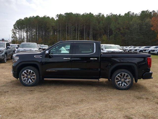 2025 GMC Sierra 1500 Vehicle Photo in ALBERTVILLE, AL 35950-0246