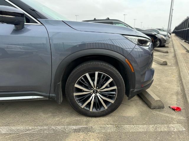 2023 INFINITI QX60 Vehicle Photo in San Antonio, TX 78230