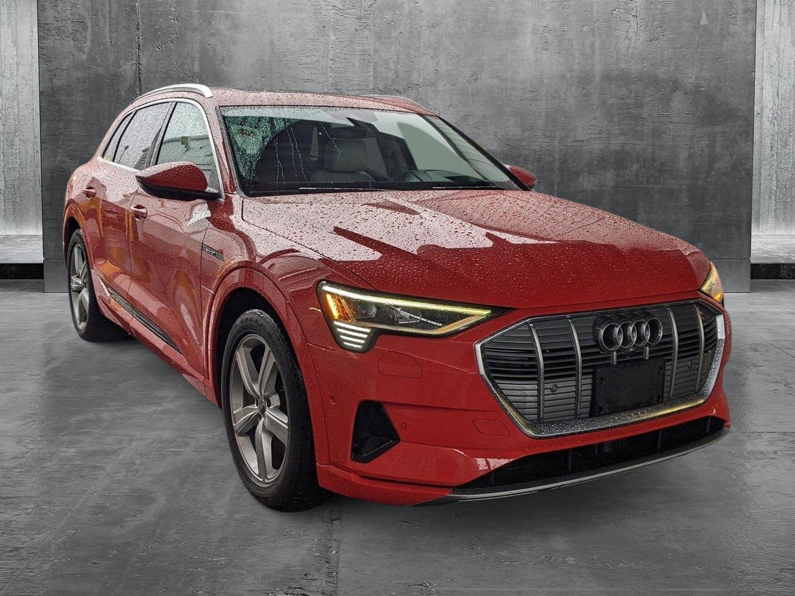 2019 Audi e-tron Vehicle Photo in Cockeysville, MD 21030