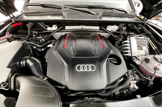 2023 Audi SQ5 Vehicle Photo in San Antonio, TX 78230